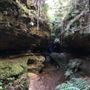 Centennial Glen Walking Track