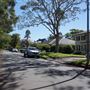 St Ives - Torokina Avenue streetscape