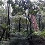 Blue Mountains