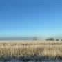 Goulburn