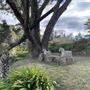 Allview Escape at Blackheath