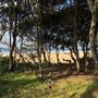 Nambucca Heads Swimming Creek