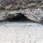 Nambucca Heads