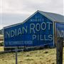 Indian Root Pills Tin Shed