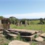 Glebe Cemetery