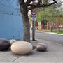 Central Maitland