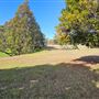 The Oaks