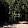 Glenworth Valley Wilderness Adventures