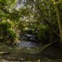Glenworth Valley Wilderness Adventures