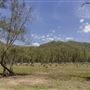 Glenworth Valley Wilderness Adventures