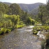 Armidale to Kempsey Road