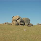 Dalgety/Cooma