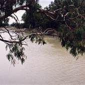 Darling River