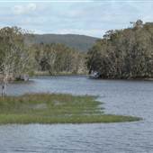 Lake Cathie - Lake Innes Nature Reserve