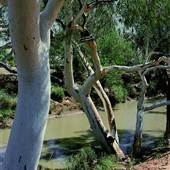 Broken Hill Area (Inc. Silverton)