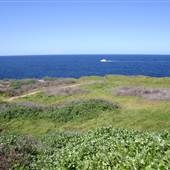 Cape Banks