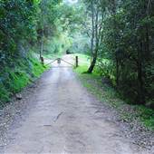 Canyon Park