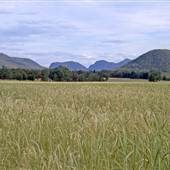 Coonabarabran Area