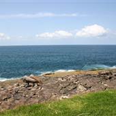 McKillop Park