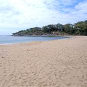 Pearl Beach