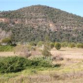 Wisemans Ferry