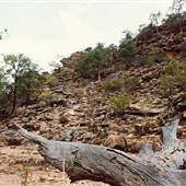 Mutawintji (Mootwingee) National Park
