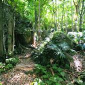 Mount Keira Scout Camp File 1