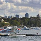Rose Bay