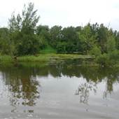 Yarramundi Reserve, Agnes Banks
