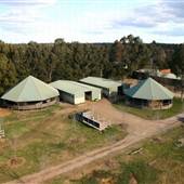 Sunburst Horse Farm