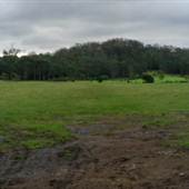 Scenic NSW Equine Centre