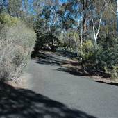Wybalena Grove, Cook - Canberra