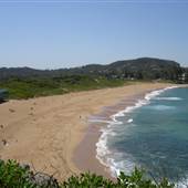 Avalon Beach
