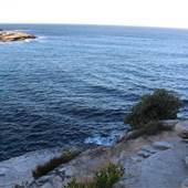 Dunningham Reserve Coogee