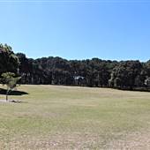 Centennial Park - Brazilian Fields