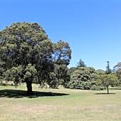 Centennial Park - Federation Valley