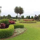Centennial Park - Frog Hollow