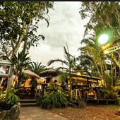 Tree House Byron