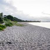 Hickey Island - Yamba