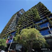 Central Park - Chippendale
