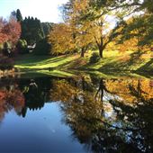 Hillandale Garden