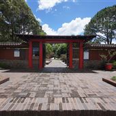 Auburn Botanic Gardens - Japanese Garden