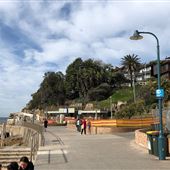 Bronte Beach
