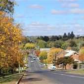 Walcha