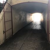 Tunnel - Nielson Park