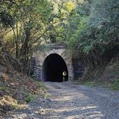 Picton Mushroom Tunnel