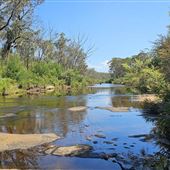 Bargo River Viaduct