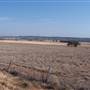 Dubbo (surrounds)