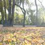 Alma Park
