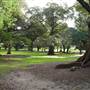 The Domain